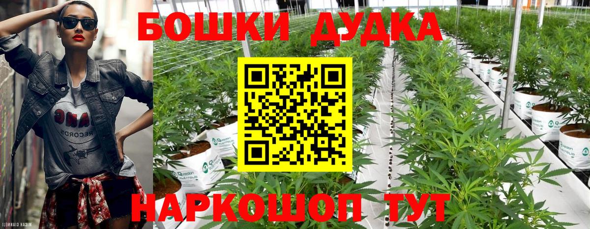 Лиски  Бошки Шишки White Widow  Вход с VPN  МАРИХУАНА тримм  Конопля AK-47 